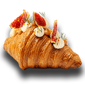 حزمة البداية الأساسية (نسخة)