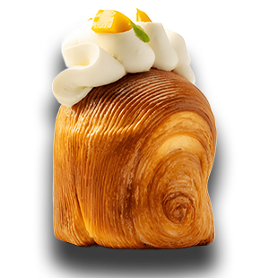 حزمة البداية الأساسية (نسخة)