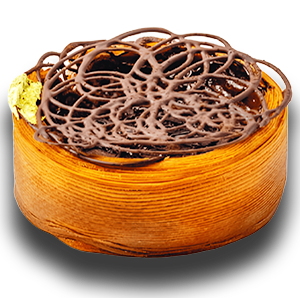 حزمة البداية الأساسية (نسخة)