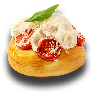 حزمة البداية الأساسية